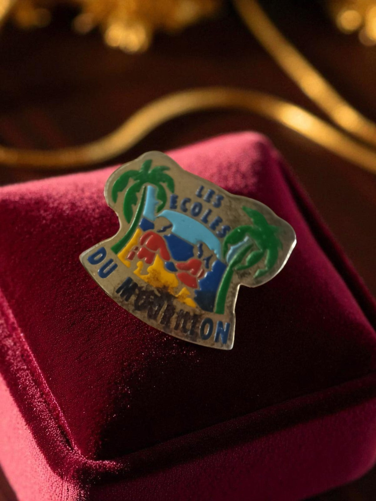 Pin's ancien Les Écoles du Minimon badge vintage publicité école rétro