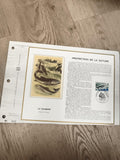 Feuillet CEF Protection de la Nature Le Saumon timbre Premier Jour