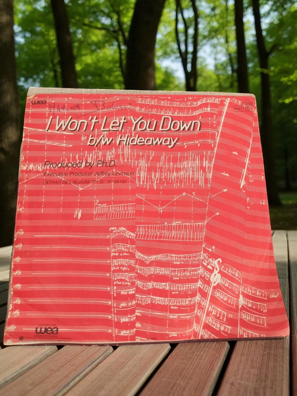 Vinyle 45 tours vintage WEA I Won't Let You Down ancien single rétro