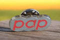Pin's vintage "pap" nuage, finition métal argenté, époque 80s-90s, rare