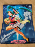 Poster manga vintage Tenchi Muyo Ryo-Oh-Ki personnage couleur