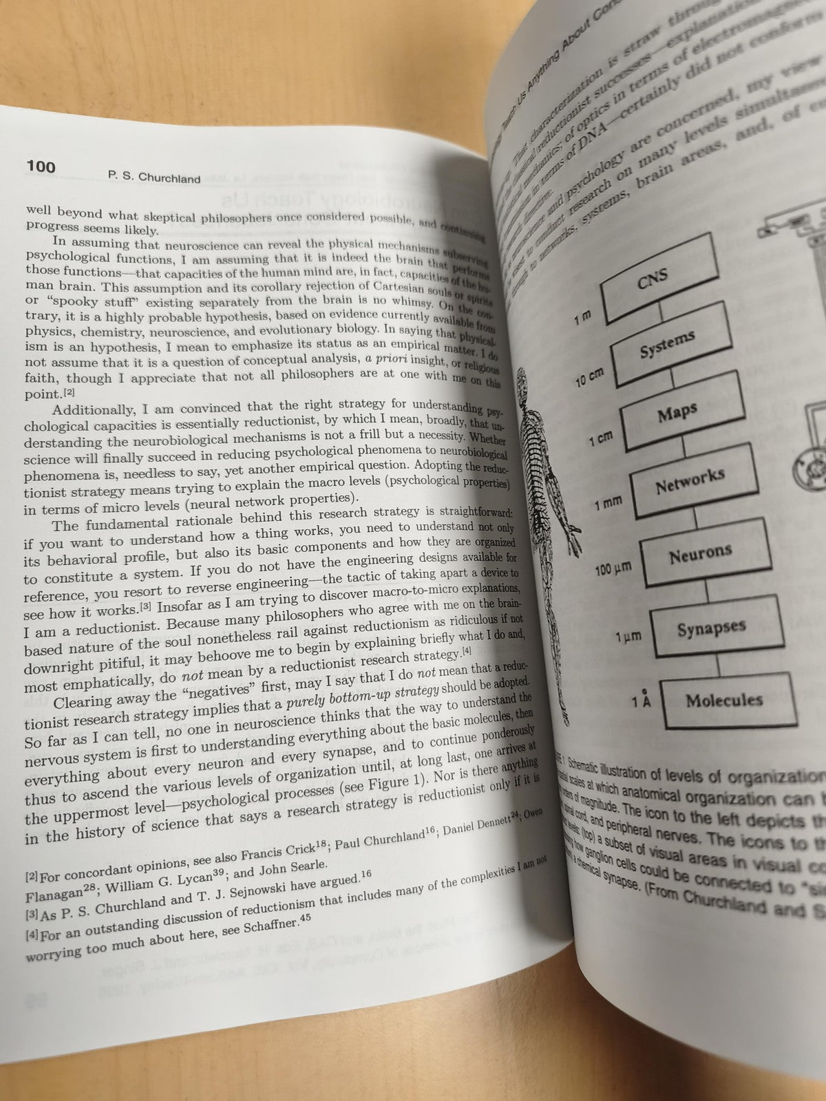 Rare livre ancien The Mind, The Brain, and Complex Adaptive Systems vintage scie