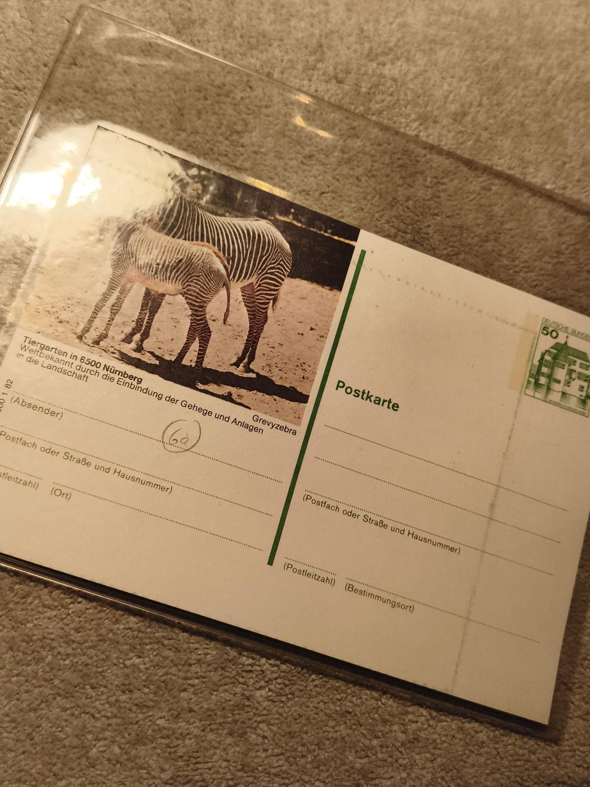 Carte postale affranchie Allemagne zoo Nuremberg zèbres Grevy philatélie (Ref 27