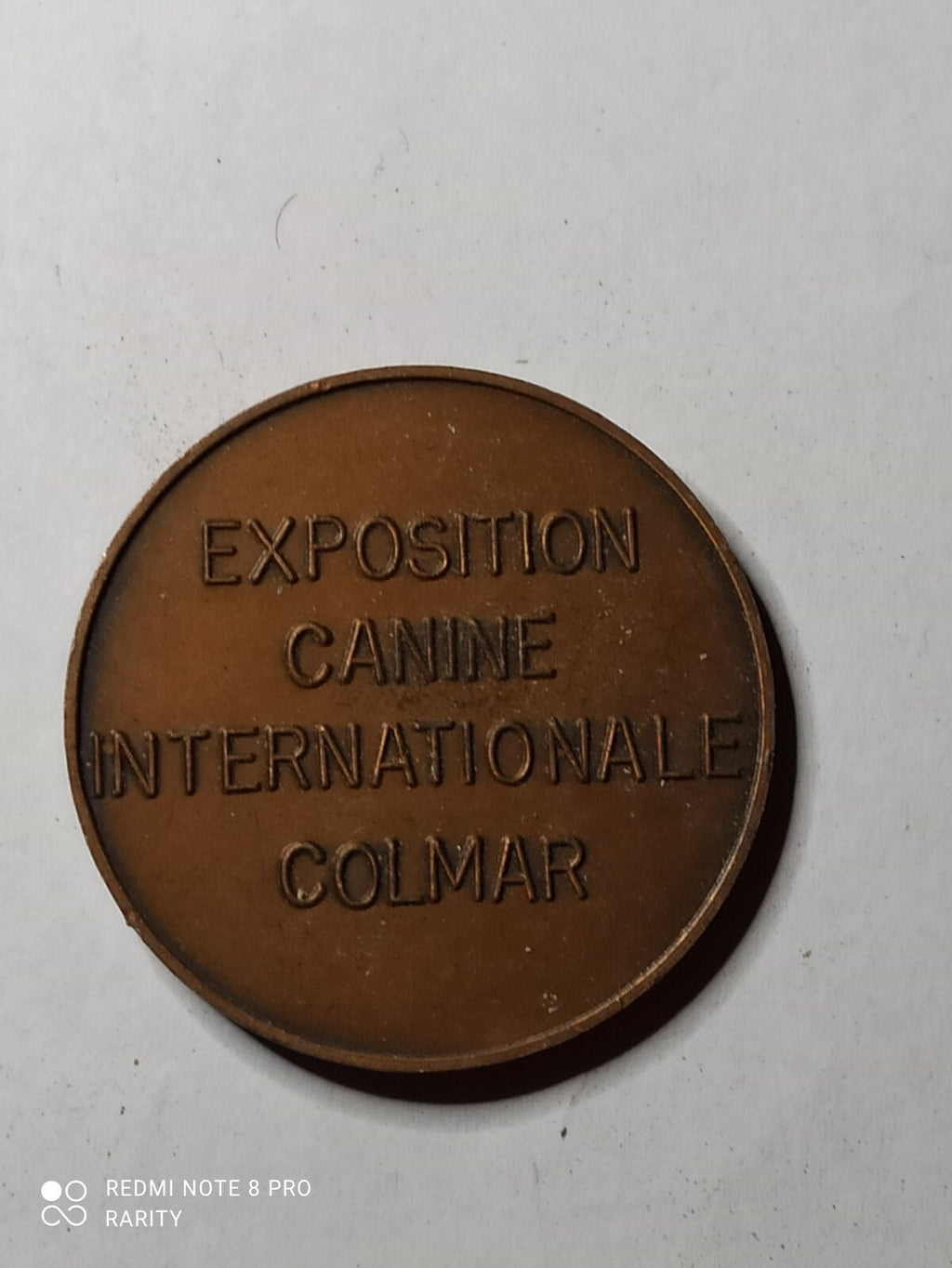 Médaille Exposition Canine Internationale Colmar relief bâtiment Alsace