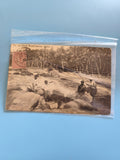 Carte postale ancienne vintage The Sea Shore Mount Lavinia Ceylon rétro collecti