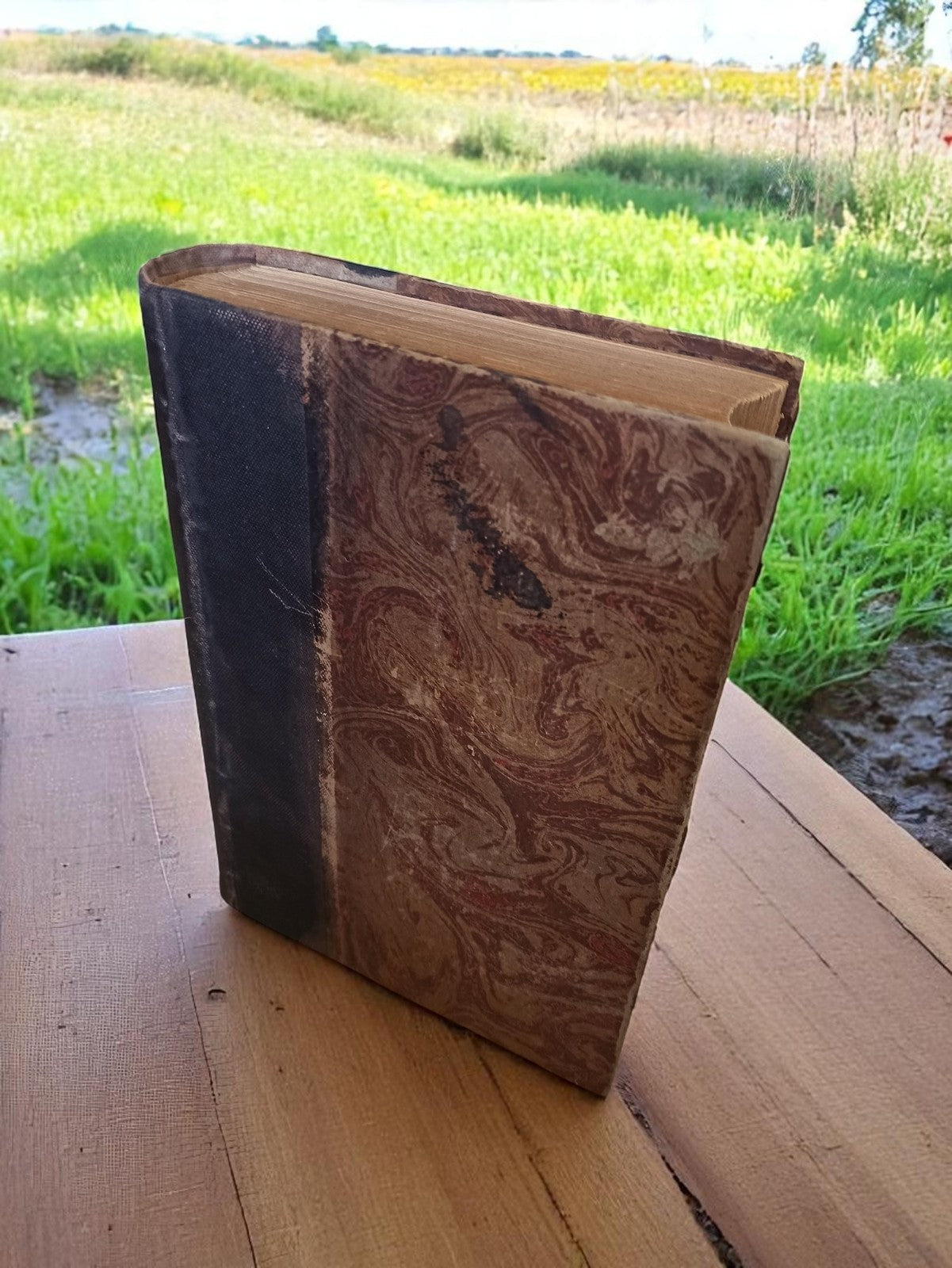 Livre ancien d'anatomie humaine 1911 reliure marbrée vintage illustrations rare