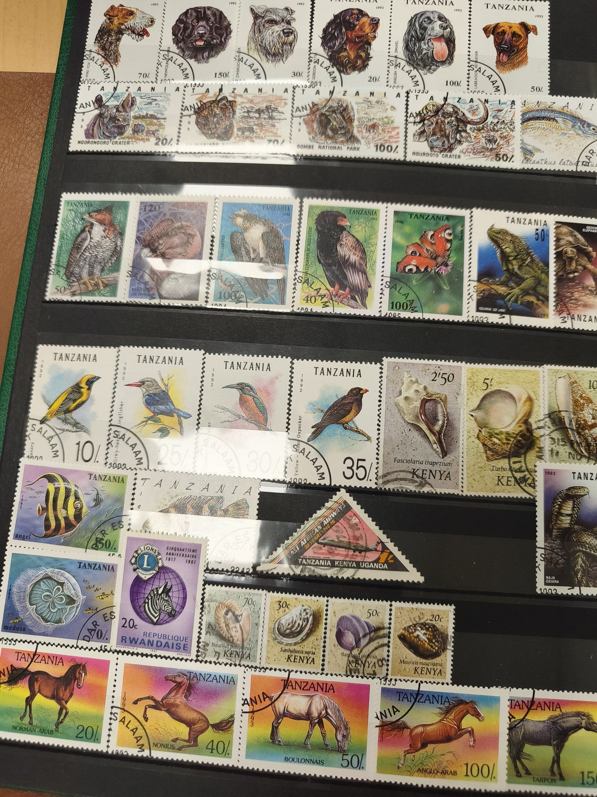 Lot de timbres animaliers multicolores Tanzanie Kenya Rwanda, oblitérés, support