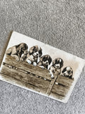 Carte postale illustrée chiots chiens barrière CPA animaux