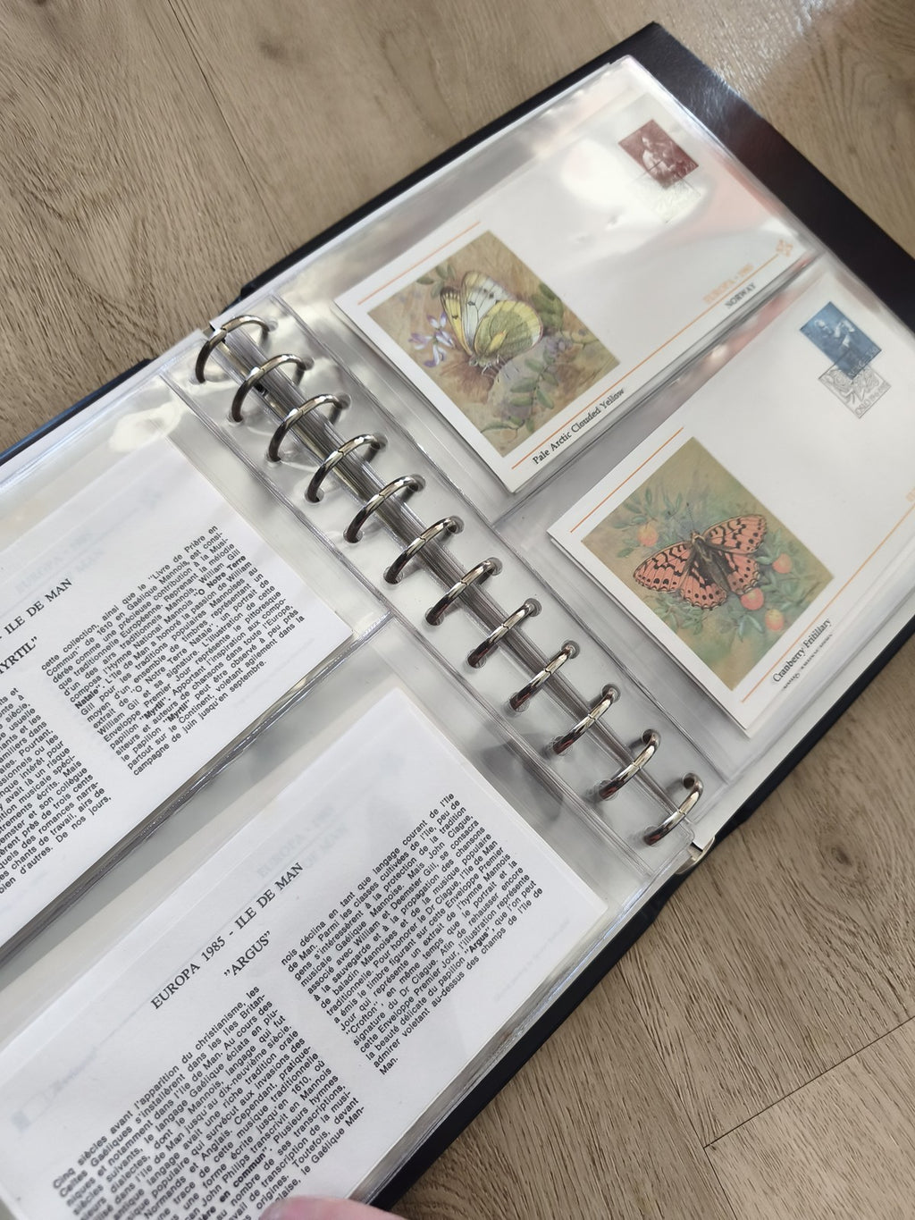 Lot enveloppes premier jour papillons avec classeur, timbres illustrés, multicol