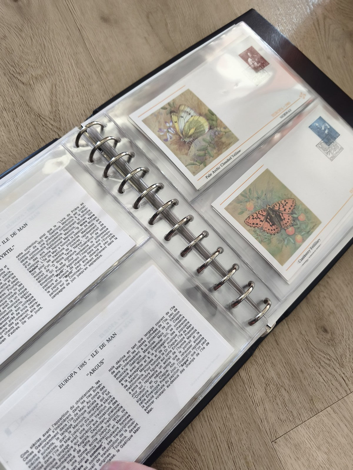 Lot enveloppes premier jour papillons avec classeur, timbres illustrés, multicol