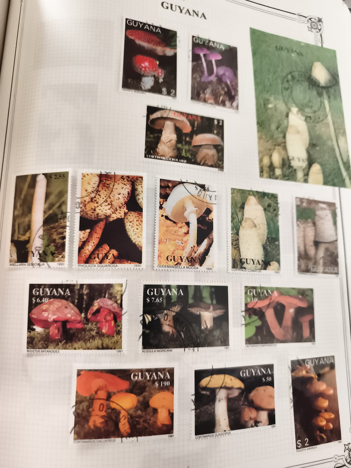 Timbres anciens Guyana champignons lot thématique philatélie oblitérés vintage