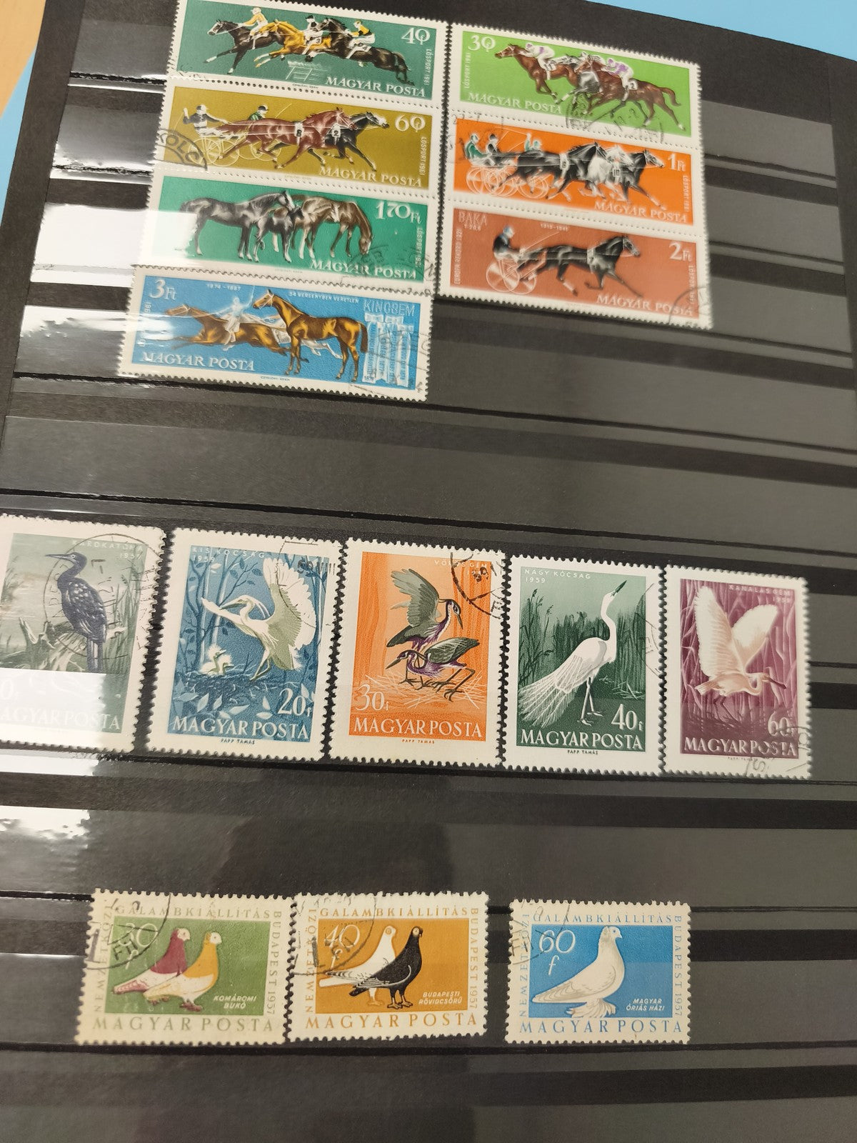 Lot anciens timbres oblitérés Magyar Posta chevaux oiseaux Hongrie collection