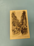 Carte postale ancienne CPA Grande-Chartreuse Entrée du Désert ND phototypie