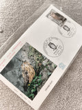 Lettre Premier Jour Grand-Duc 1972 FDC Hibou Protection Nature ancien philatélie
