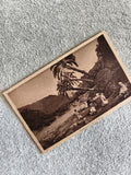 CPA photographie ancienne palmiers paysage exotique scène animée