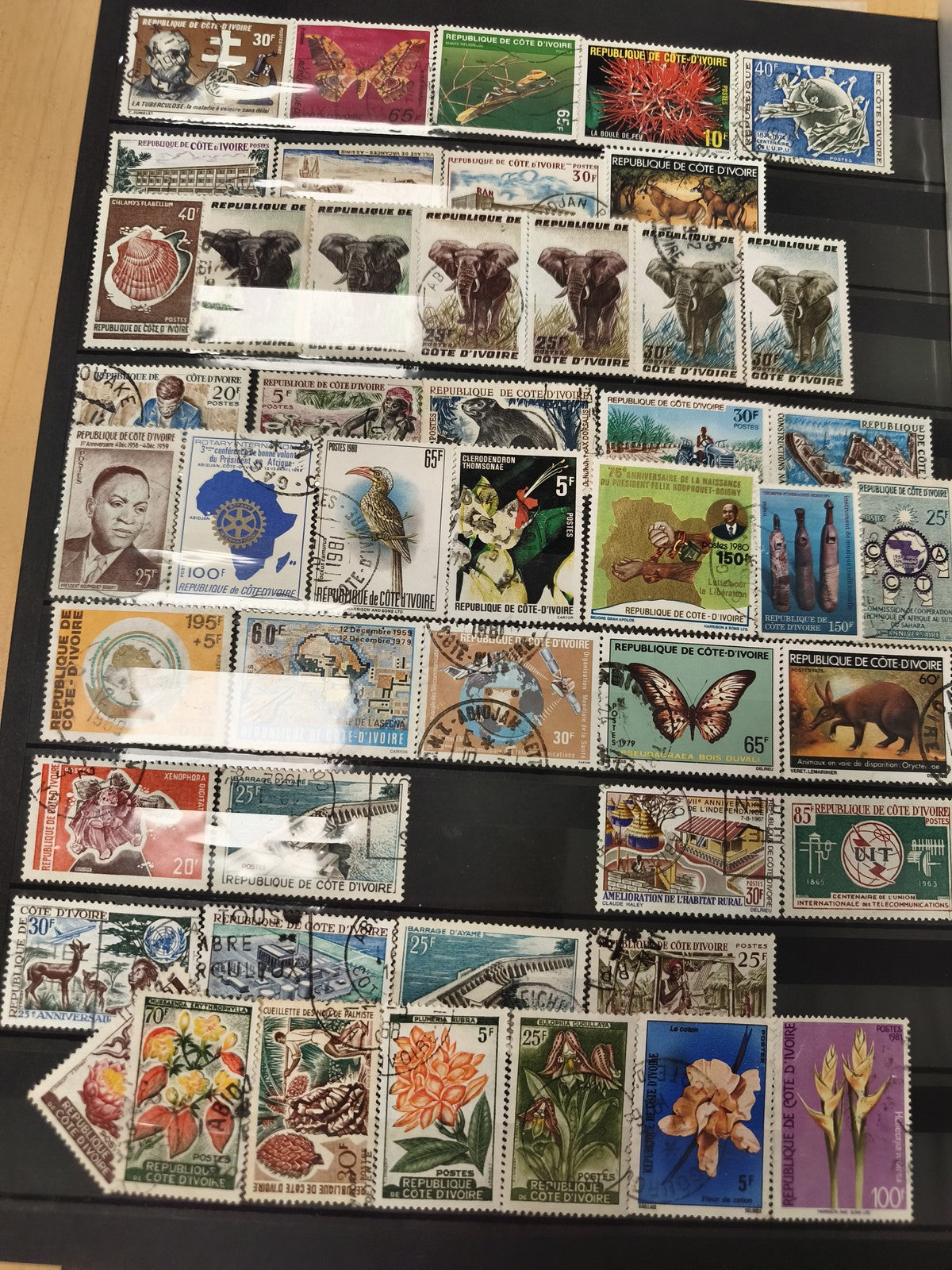 Lot de timbres Côte d'Ivoire thématiques animaux fleurs oblitérés multicolores