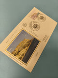 Enveloppe FDC premier jour Cap Canaille Cassis timbre et cachet visible