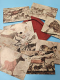 Lot de cartes illustrations grotte préhistorique animaux ? Ref 10