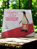 Disque vinyle 45T Status Quo Whatever You Want vintage rock classique