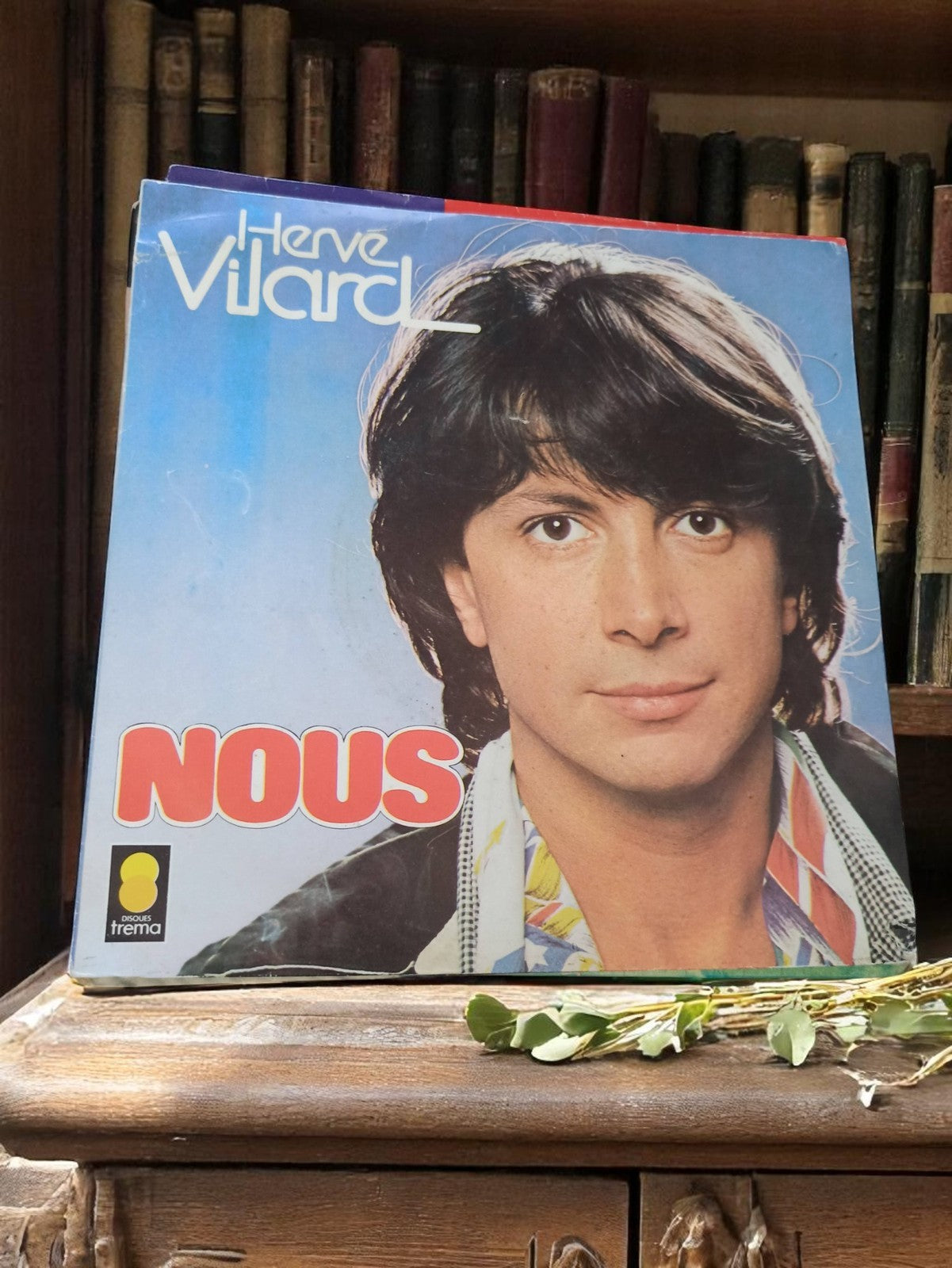Vinyle 45 tours Hervé Vilard "Nous" vintage Disques Tréma pochette photo