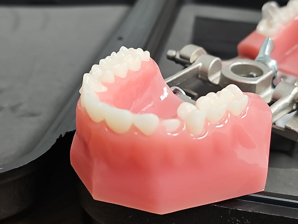 Modèle dentaire démonstration Invisalign écarteur joue typodont orthodontie