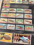 Lot anciens timbres poissons REP DE GUINEA ECUATORIAL vintage philatélie