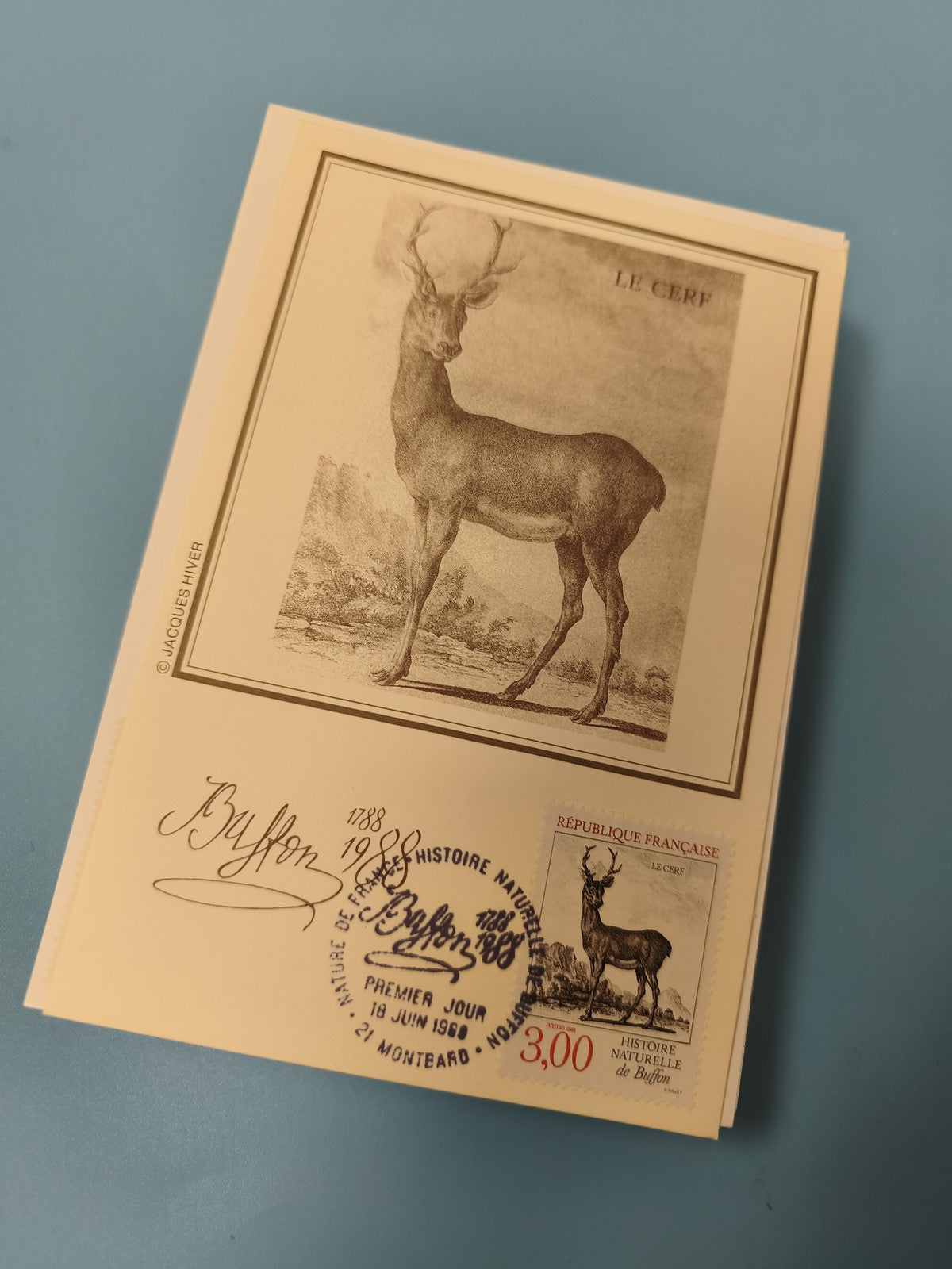 Carte postale philatélie Le Cerf Buffon timbre France 3,00 F illustration faune