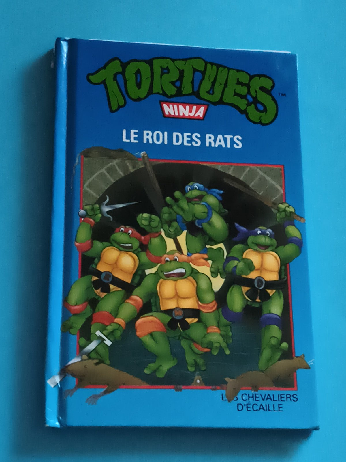Livre Tortues Ninja Le Roi des Rats BD jeunesse couverture rigide TMNT