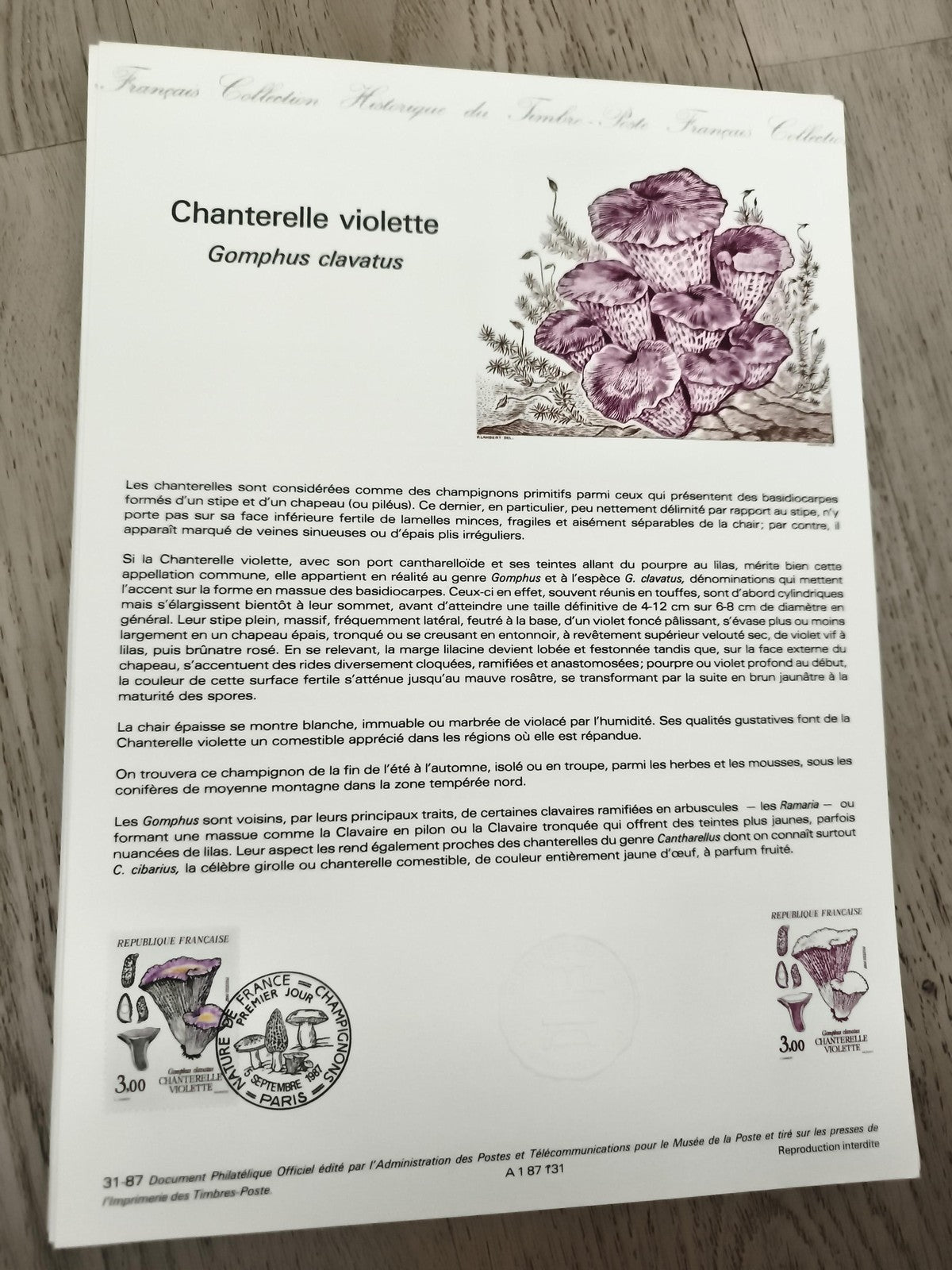 Lettre FDC Chanterelle violette Gomphus clavatus timbre France 3,00 philatélie