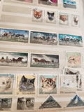 Timbres anciens Hongrie MAGYAR POSTA animaux chevaux chats oblitéres vintage