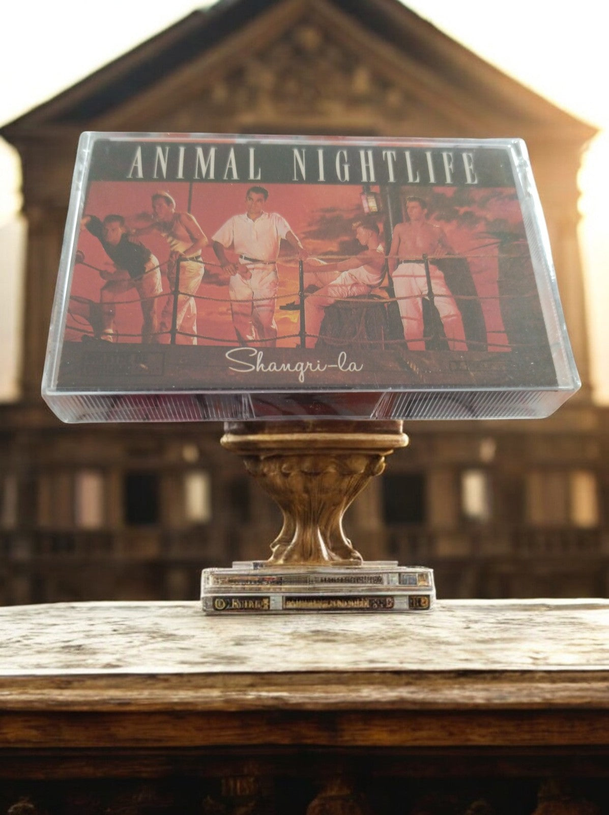 Cassette audio Animal Nightlife Shangri-la vintage pop new wave 80s rare