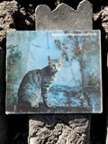CD Alpha The Impossible Thrill pochette chat album musique électronique