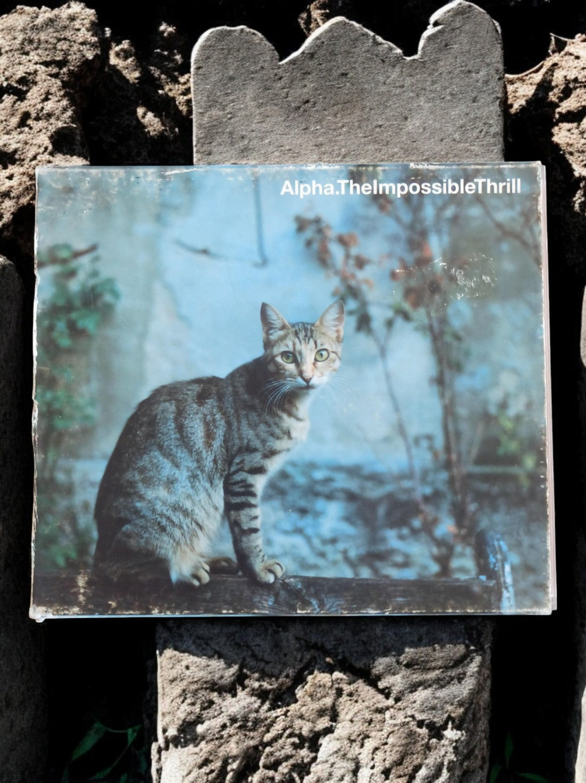 CD Alpha The Impossible Thrill pochette chat album musique électronique