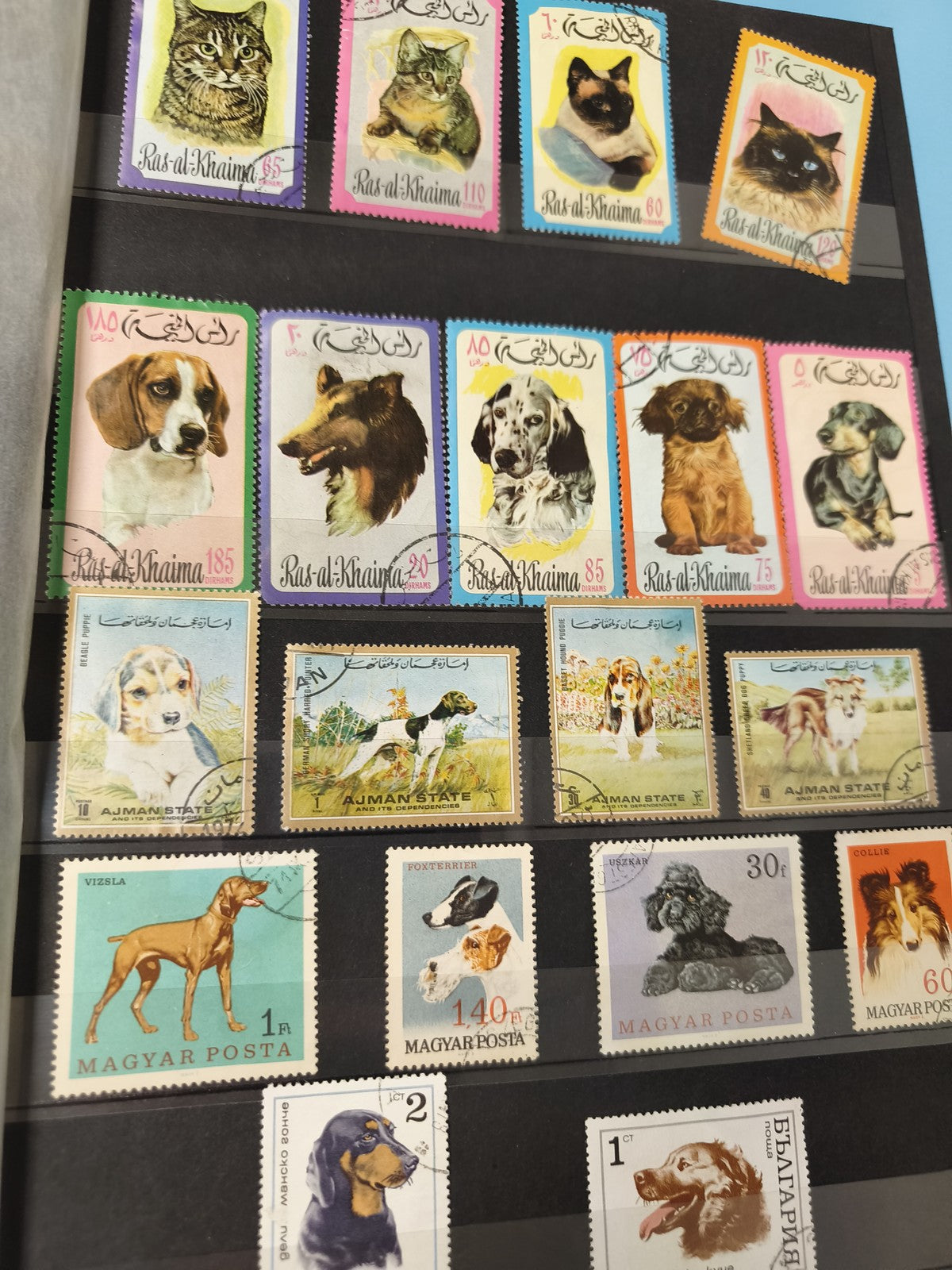 Lot anciens timbres oblitérés Ajman animaux chats chiens collection philatélie