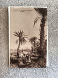 CPA Beni-Ounif palmeraie de Zaghlia photo ancienne Afrique Nord
