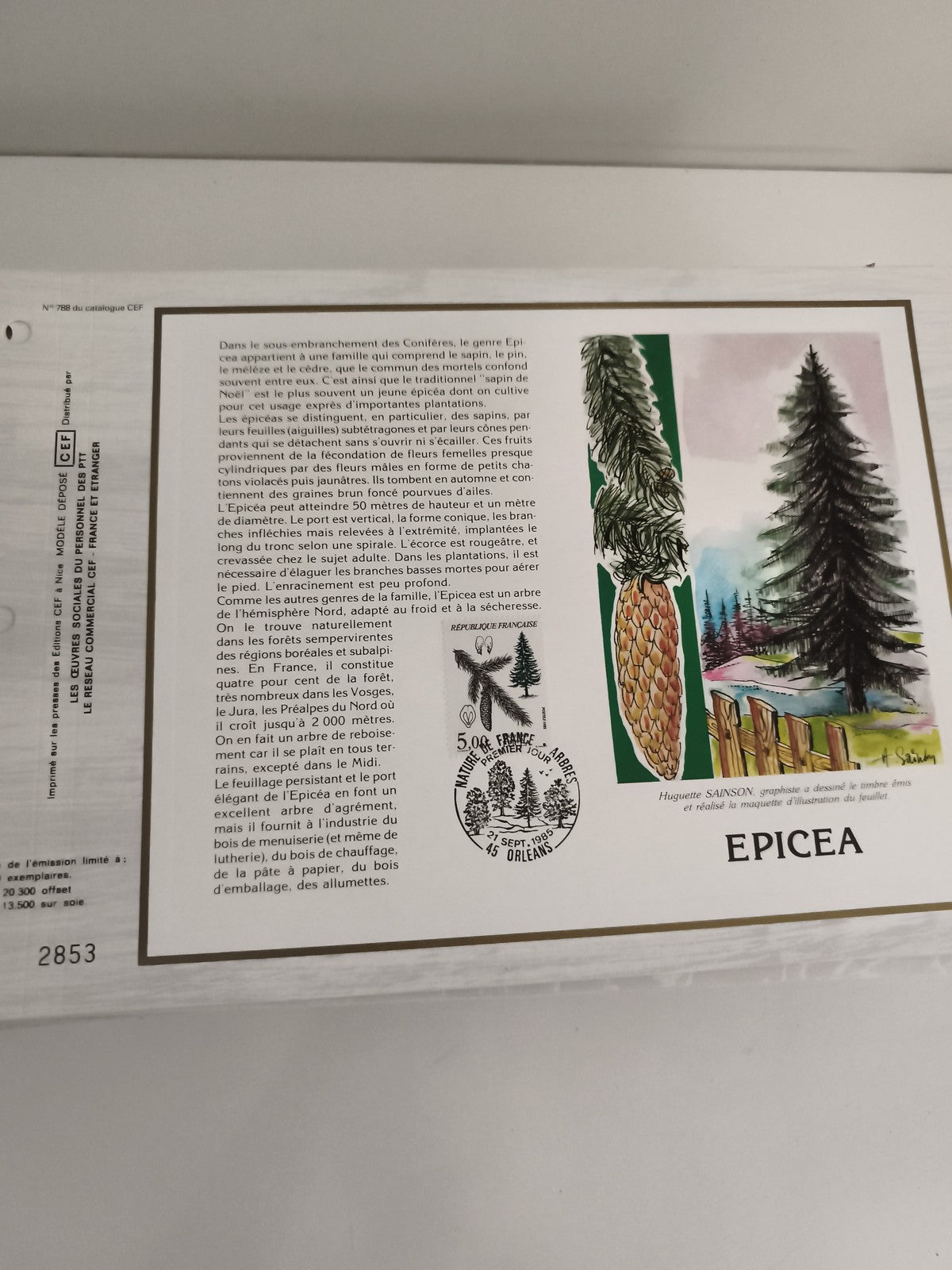 Feuillet philatélique CEF Épicéa 1985 France timbre illustré botanique