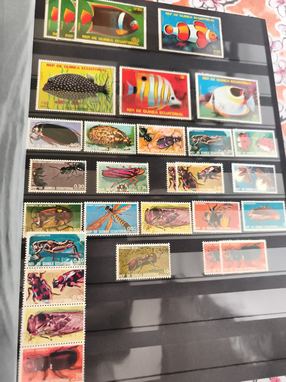 Timbres anciens Guinée Équatoriale animaux insectes poissons lot philatélie vint