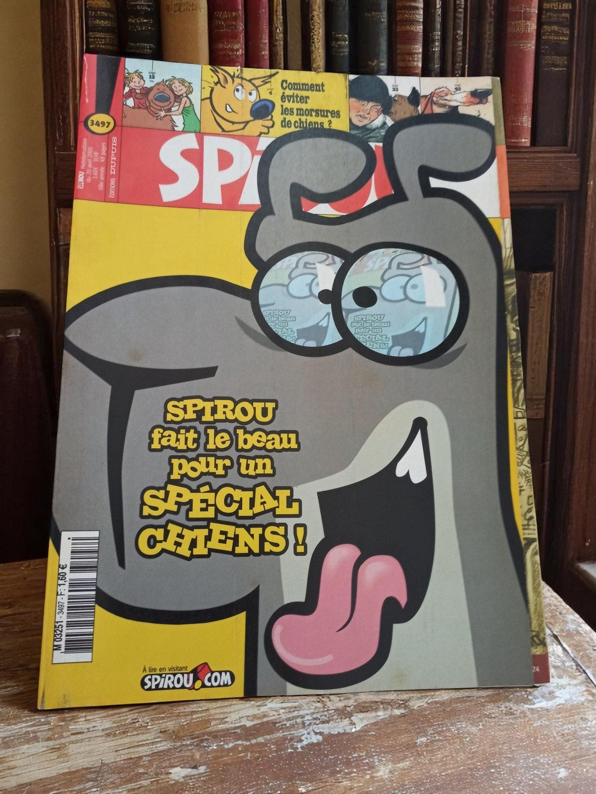 Magazine Spirou n°3497 Vintage Rétro Années 2000 Spécial Chiens Collector