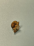 Vintage pin's Légion étrangère doré, insigne militaire collection Ref 1