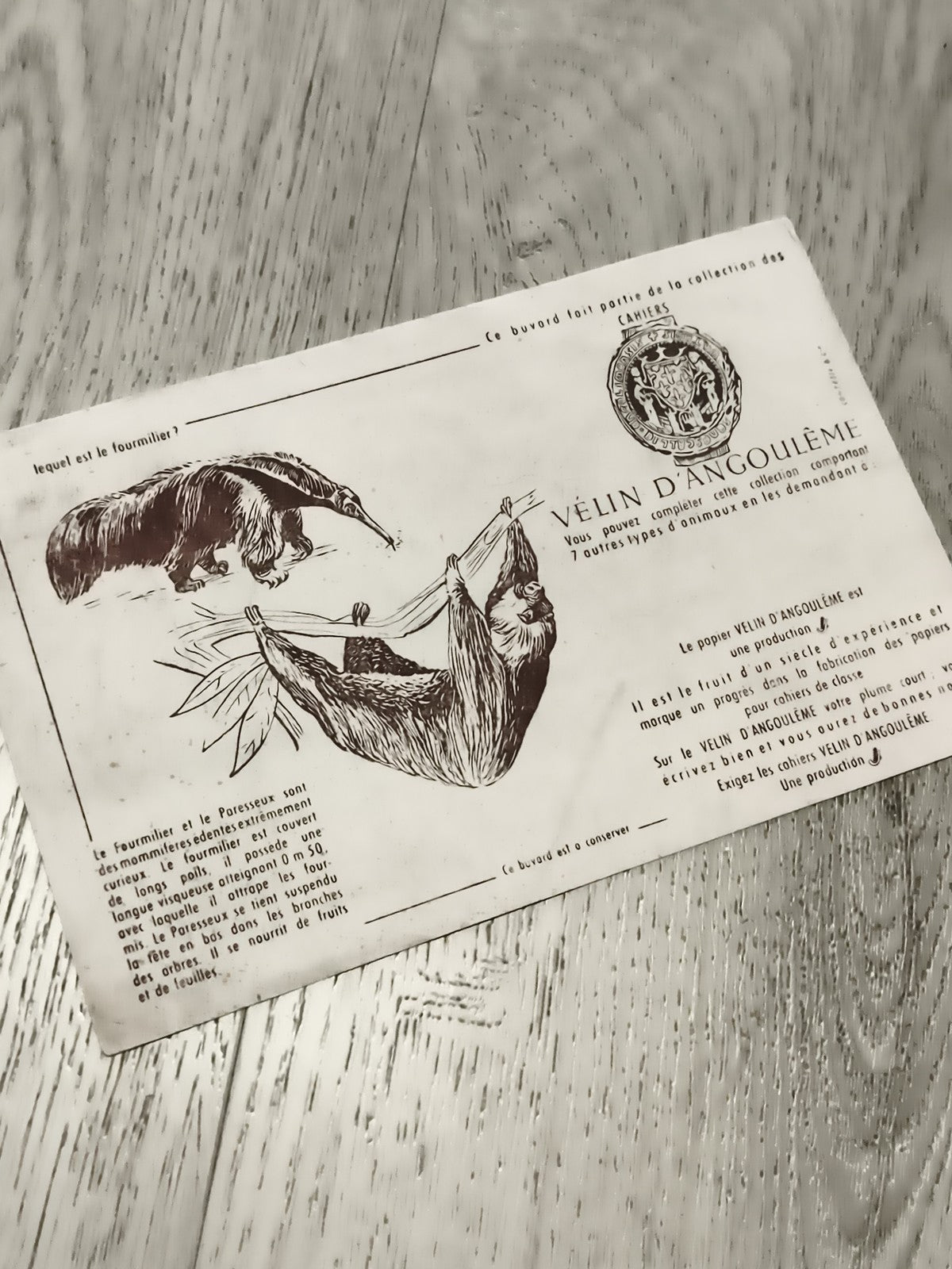 Buvard ancien Vélin d’Angoulême animaux fourmilier paresseux pub vintage