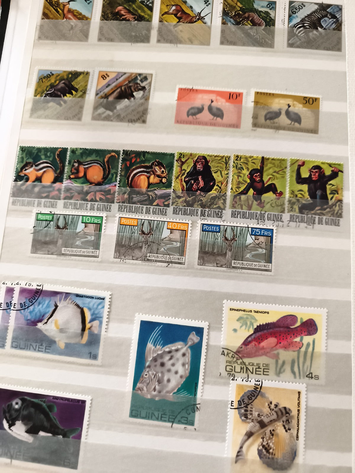 Timbres anciens République de Guinée animaux faune Afrique lot philatélie vintag