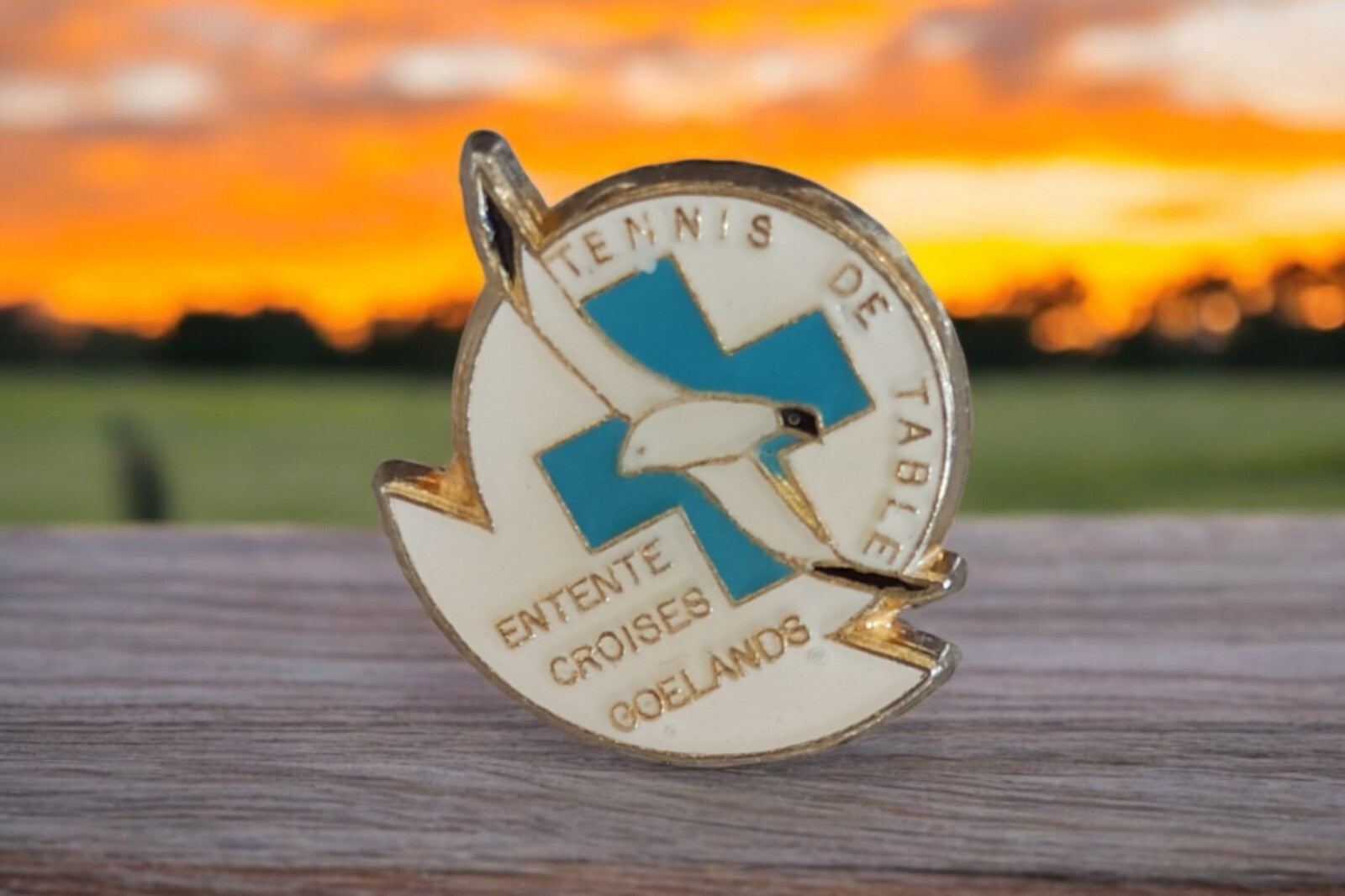 Pin's Tennis de Table Entente Croisés Goélands vintage émaillé blanc bleu