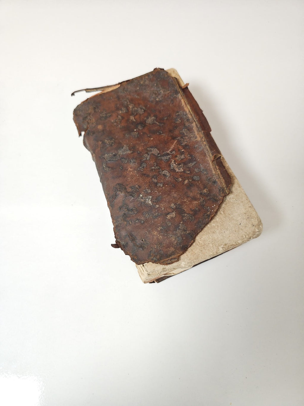 Livre ancien médecine pratique Arnault de Nobleville vintage collection rare
