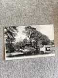 Carte postale CPA Hythe Canal Nelson’s Bridge noir et blanc paysage