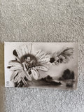 CPA marguerite Je t’aime beaucoup à la folie Fox 4457 carte postale ancienne