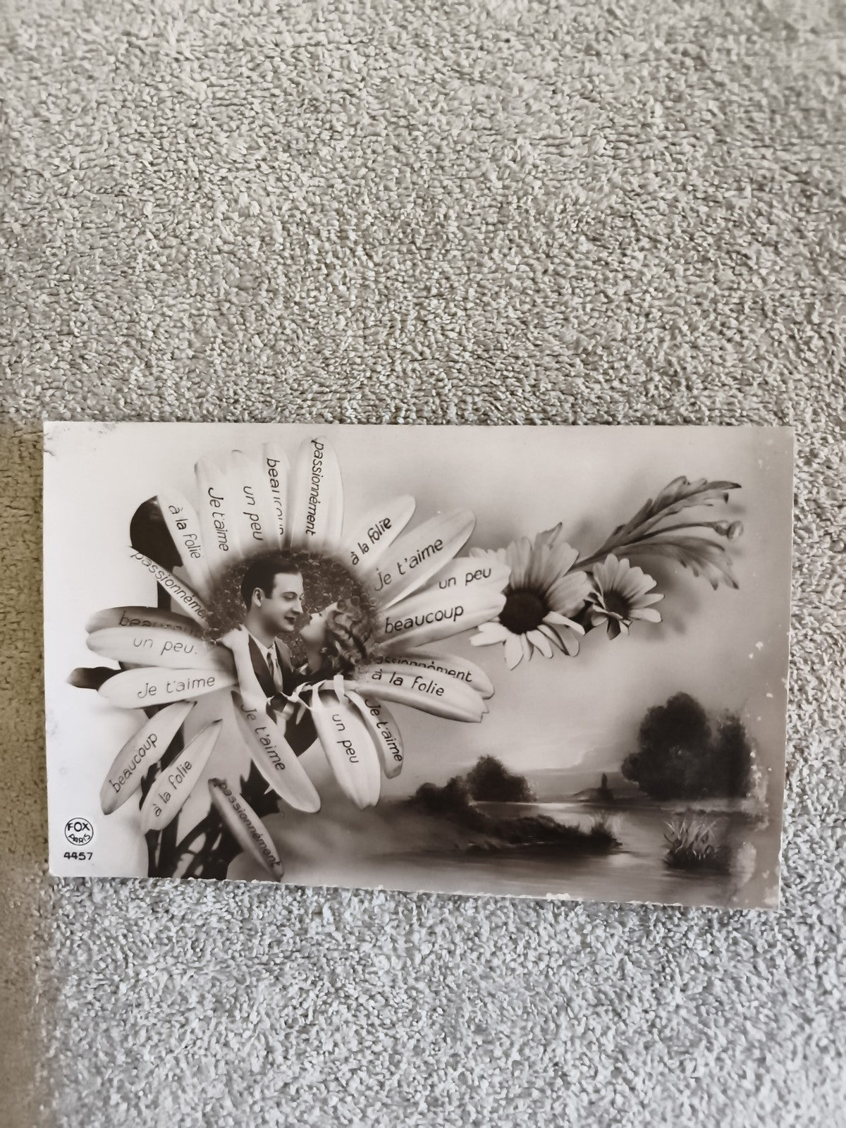 CPA marguerite Je t’aime beaucoup à la folie Fox 4457 carte postale ancienne