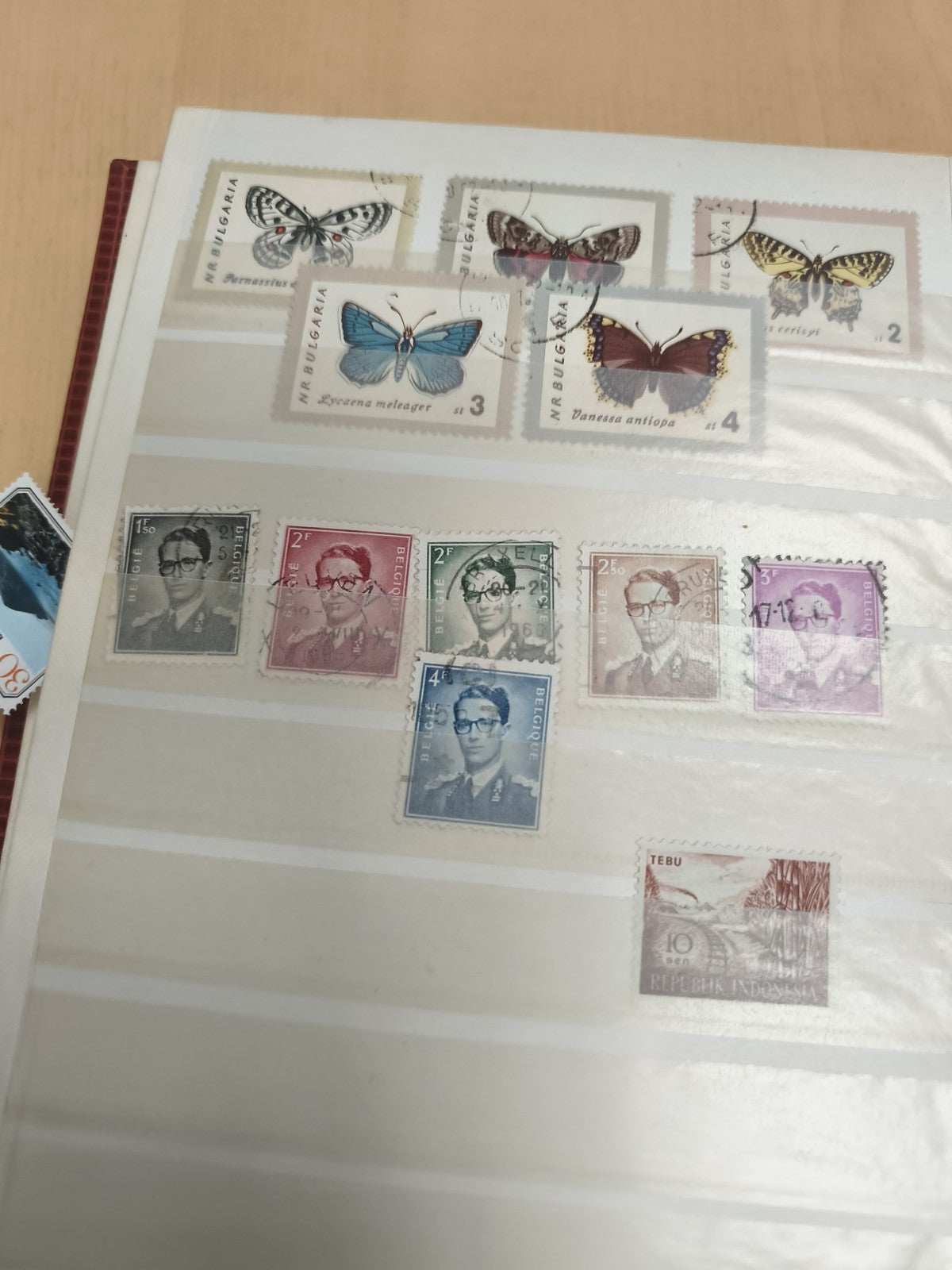 Lot timbres oblitérés papillons Bulgarie Belgique Indonésie philatélie