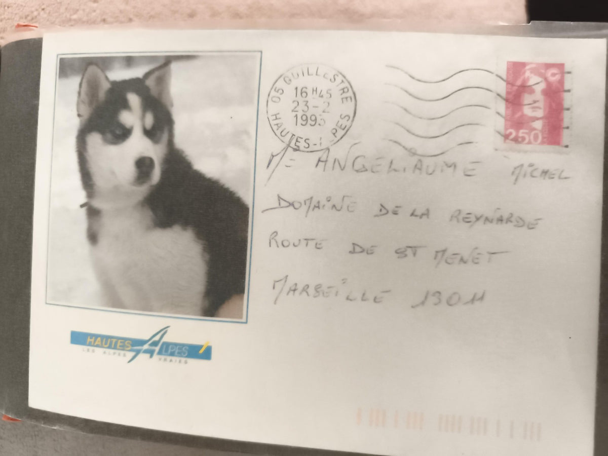 Carte postale chien Husky affranchie 1999 Hautes Alpes philatélie