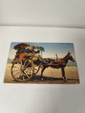 Carte postale vintage ancienne Napoli carretto Italie collection rétro rare