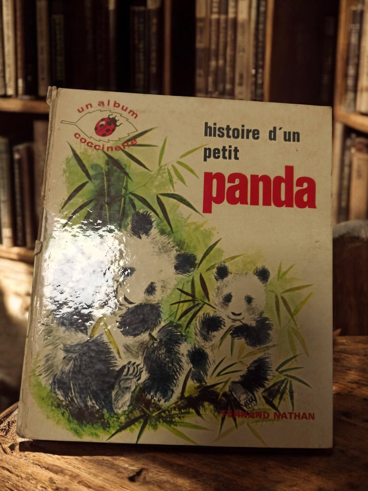 Livre ancien jeunesse Histoire d’un petit panda vintage Nathan album coccinelle